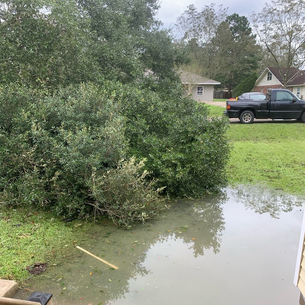 UPDATE - Picture 4 of 8